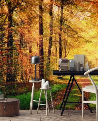 Fotobehang Herfstbos met pad en strepen van zonlicht