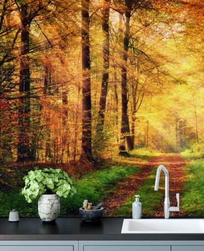 Fotobehang Herfstbos met pad en strepen van zonlicht