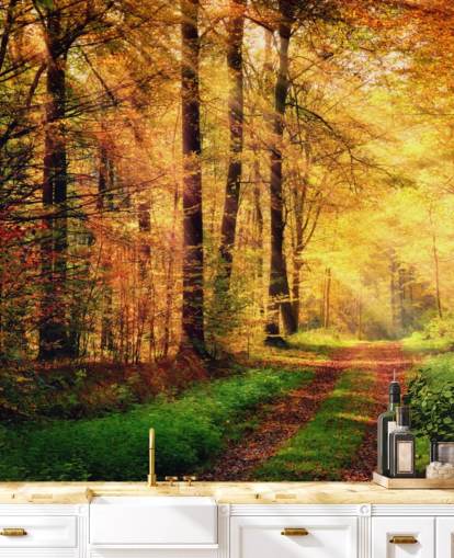 Papier peint Forêt d'automne avec chemin et traînées de soleil