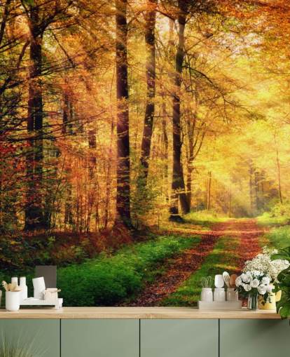 Decorazione murale con foresta autunnale con sentiero e strisce di luce solare