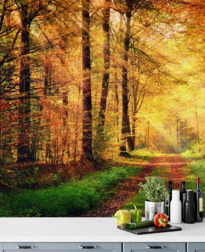Autumn Forest with Path and Streaks of Sunlight Wall Mural Autumn Forest with Path and Streaks of Sunlight Wall Mural