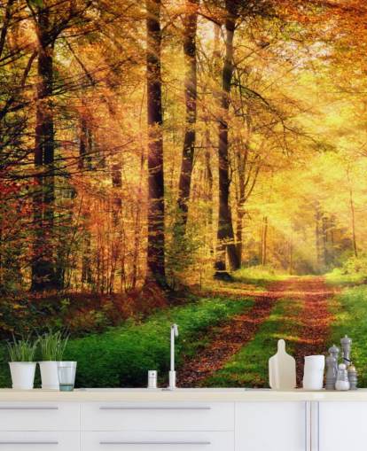 Mural de pared Bosque otoñal con senderos y rayos de sol