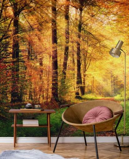 Mural de pared Bosque otoñal con senderos y rayos de sol