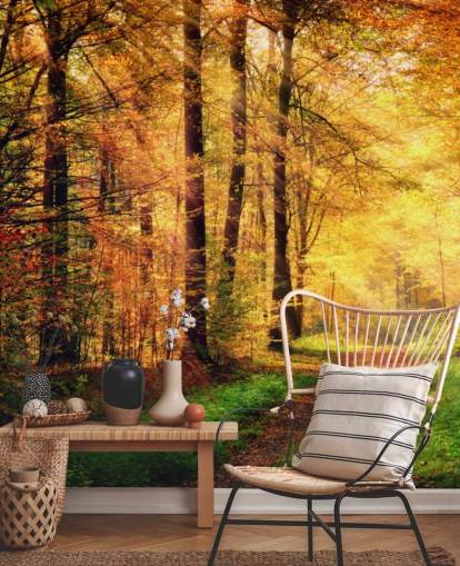 Decorazione murale con foresta autunnale con sentiero e strisce di luce solare