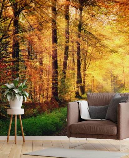 Wandbild „Herbstwald mit Pfad und Sonnenstreifen“ Wandbild „Herbstwald mit Pfad und Sonnenstreifen“