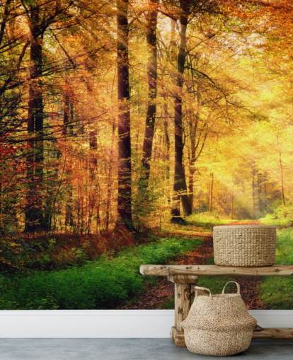 Wandbild „Herbstwald mit Pfad und Sonnenstreifen“