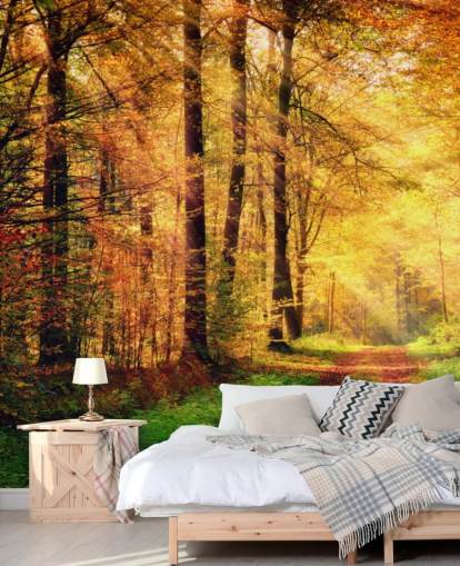 Autumn Forest with Path and Streaks of Sunlight Wall Mural