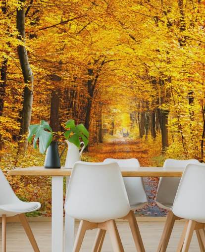 mural de papel pintado de un bosque amarillo y naranja llamado Bosque de otoño con hojas amarillas para salones, oficinas en casa y dormitorios