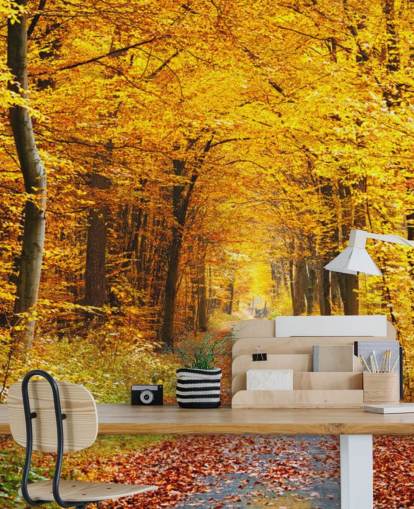 gul og orange skovtapet vægmaleri kaldet Autumn Forest with Yellow Leaves til lounger, hjemmekontorer og soveværelser gul og orange skovtapet vægmaleri kaldet Autumn Forest with Yellow Leaves til lounger, hjemmekontorer og soveværelser
