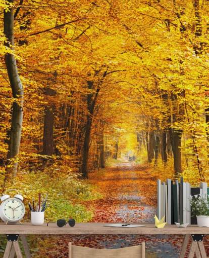 mural de papel pintado de un bosque amarillo y naranja llamado Bosque de otoño con hojas amarillas para salones, oficinas en casa y dormitorios