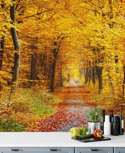 mural de papel pintado de un bosque amarillo y naranja llamado Bosque de otoño con hojas amarillas para salones, oficinas en casa y dormitorios