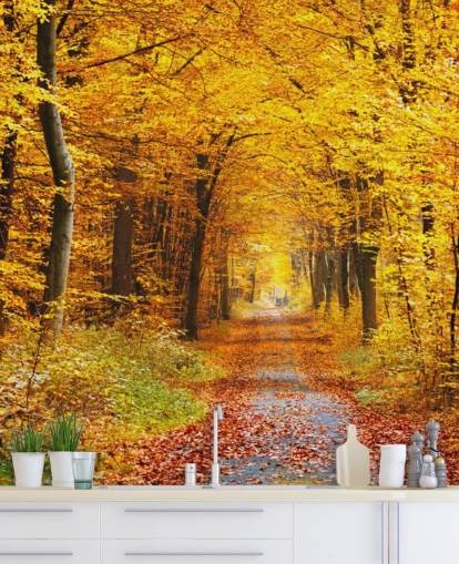 carta da parati murale con boschi gialli e arancioni chiamata Autumn Forest with Yellow Leaves per salotti, uffici domestici e camere da letto