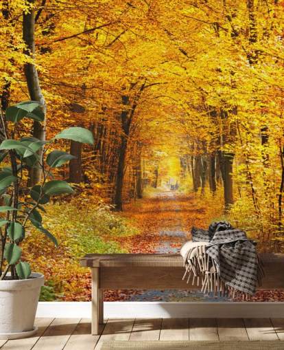 mural de papel pintado de un bosque amarillo y naranja llamado Bosque de otoño con hojas amarillas para salones, oficinas en casa y dormitorios mural de papel pintado de un bosque amarillo y naranja llamado Bosque de otoño con hojas amarillas para salones, oficinas en casa y dormitorios