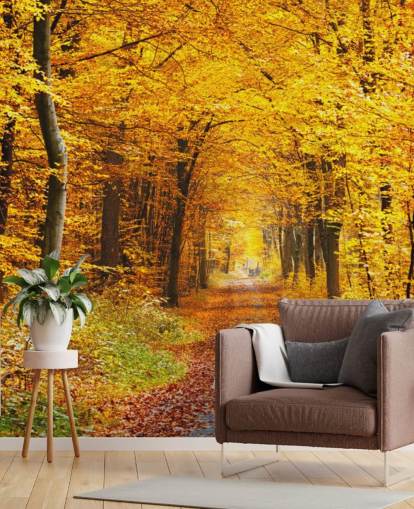 carta da parati murale con boschi gialli e arancioni chiamata Autumn Forest with Yellow Leaves per salotti, uffici domestici e camere da letto