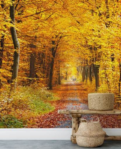gele en oranje bosbehangmuurschildering genaamd Autumn Forest with Yellow Leaves voor lounges, kantoren aan huis en slaapkamers gele en oranje bosbehangmuurschildering genaamd Autumn Forest with Yellow Leaves voor lounges, kantoren aan huis en slaapkamers