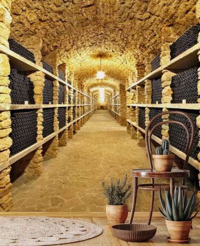 Garrafas de vinho antigas no papel de parede da adega antiga