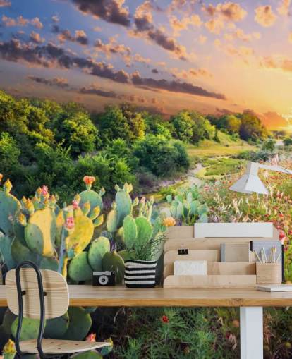 Papel pintado Cactus y flores silvestres al atardecer