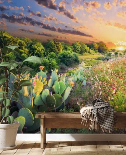 Kaktus og vilde blomster ved solnedgang Wallpaper Mural Kaktus og vilde blomster ved solnedgang Wallpaper Mural