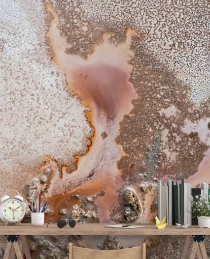 pink and peach customizable abstract wall mural called Discovery by Petra Meikle de Vlas