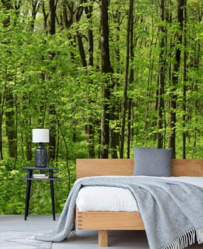 Green Forest Panoramic Wallpaper Green Forest Panoramic Wallpaper