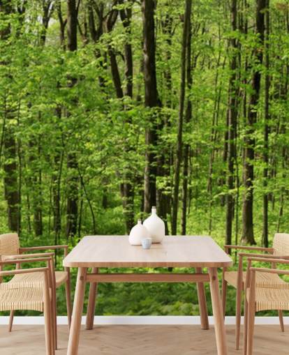 Panoramisch behang in het groene bos Panoramisch behang in het groene bos