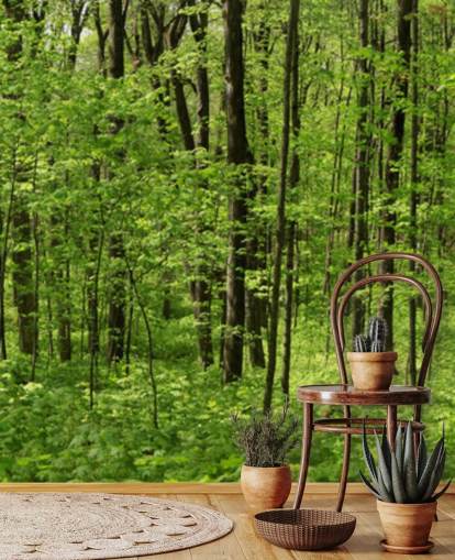 Papel de parede panorâmico Green Forest