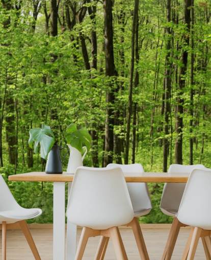 Green Forest Panoramic Wallpaper Green Forest Panoramic Wallpaper