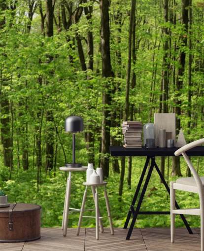 Panoramisch behang in het groene bos