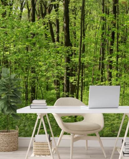 Papel de parede panorâmico Green Forest