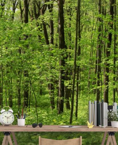 Green Forest Panoramic Wallpaper