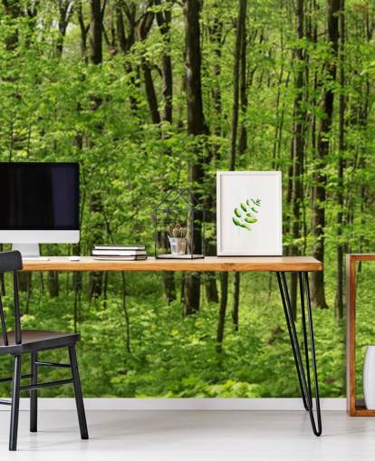 Fondo de pantalla panorámico de Green Forest