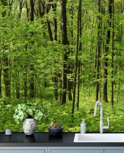 Panoramisch behang in het groene bos