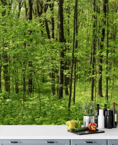 Panorama-Tapete mit grünem Wald