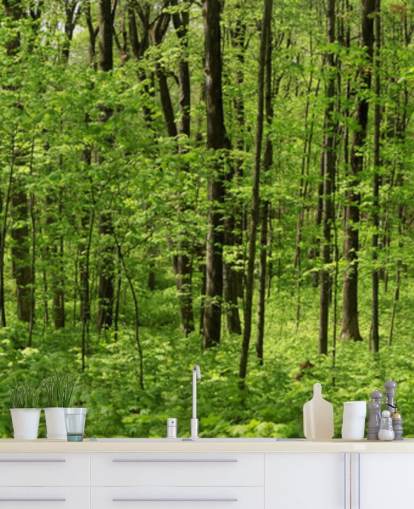 Carta da parati panoramica della foresta verde