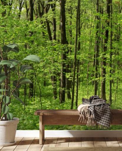 Green Forest Panoramic Wallpaper