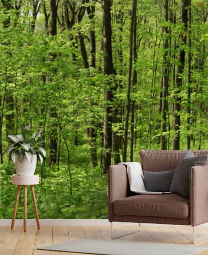 Papier peint panoramique Green Forest