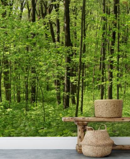 Carta da parati panoramica della foresta verde