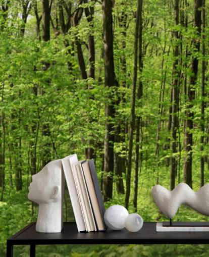 Papel de parede panorâmico Green Forest