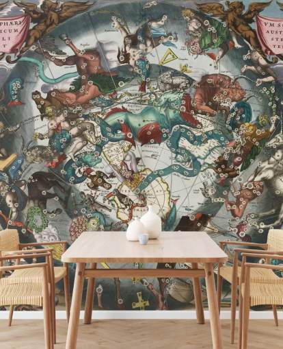 custom astronomy mural called Scenography of the Southern Hemisphere