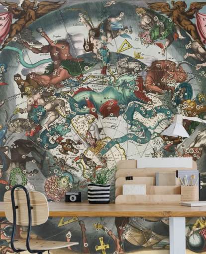 custom astronomy mural called Scenography of the Southern Hemisphere