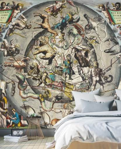 custom astronomy mural called Scenography of the Northern Hemisphere custom astronomy mural called Scenography of the Northern Hemisphere