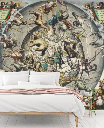 custom astronomy mural called Scenography of the Northern Hemisphere custom astronomy mural called Scenography of the Northern Hemisphere