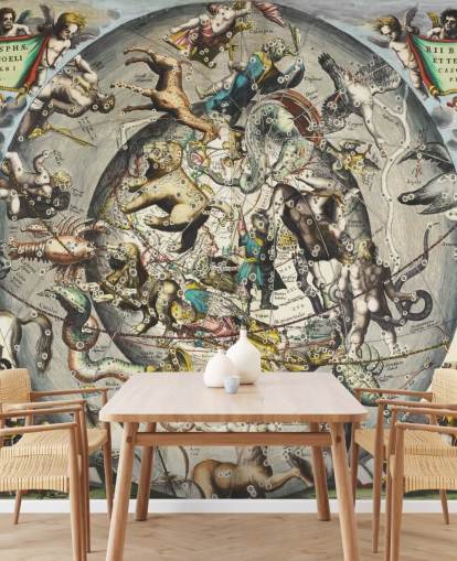 custom astronomy mural called Scenography of the Northern Hemisphere