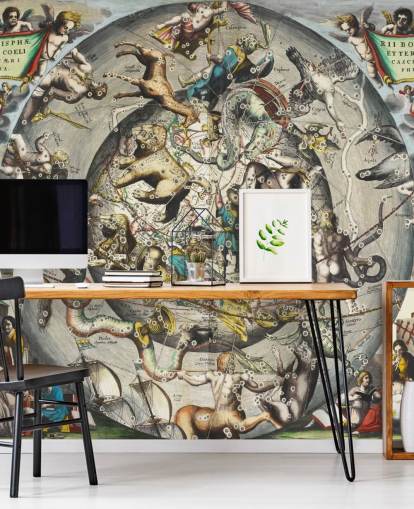 op maat gemaakte astronomische muurschildering genaamd Scenography of the Northern Hemisphere