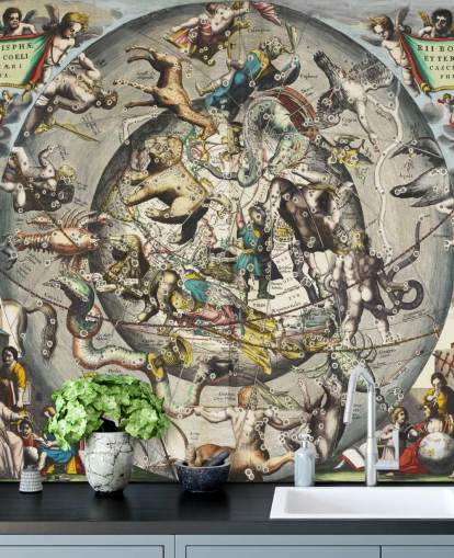 custom astronomy mural called Scenography of the Northern Hemisphere