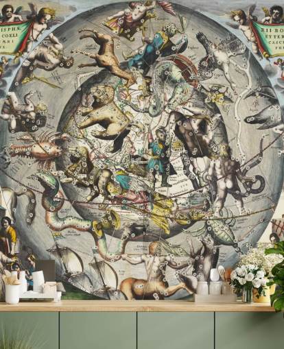 op maat gemaakte astronomische muurschildering genaamd Scenography of the Northern Hemisphere