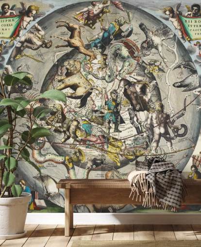 custom astronomy mural called Scenography of the Northern Hemisphere