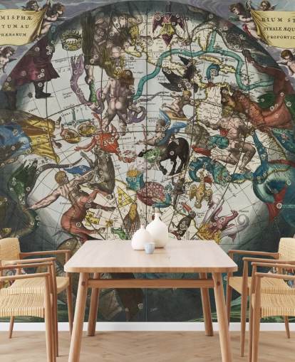 custom astronomy mural called Southern Stellar Hemisphere with Celestial and Terrestrial Spheres