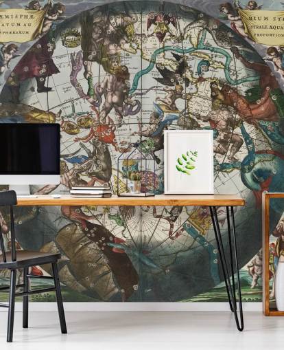 custom astronomy mural called Southern Stellar Hemisphere with Celestial and Terrestrial Spheres