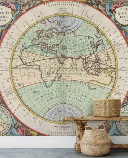 custom ancient map mural called The Hemisphere of the Old World for home offices, schools and more